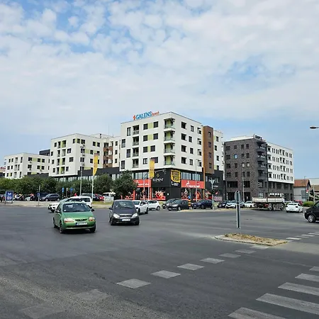 Xstannadan * Novi Sad